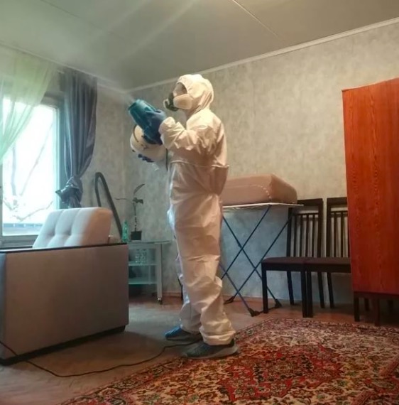 дезинсекция квартиры в Коряжме
